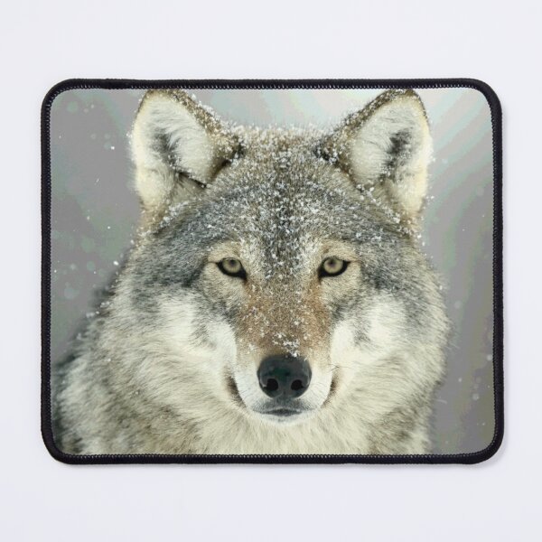 Item preview, GREY WOLF designed and sold by Paparaw.