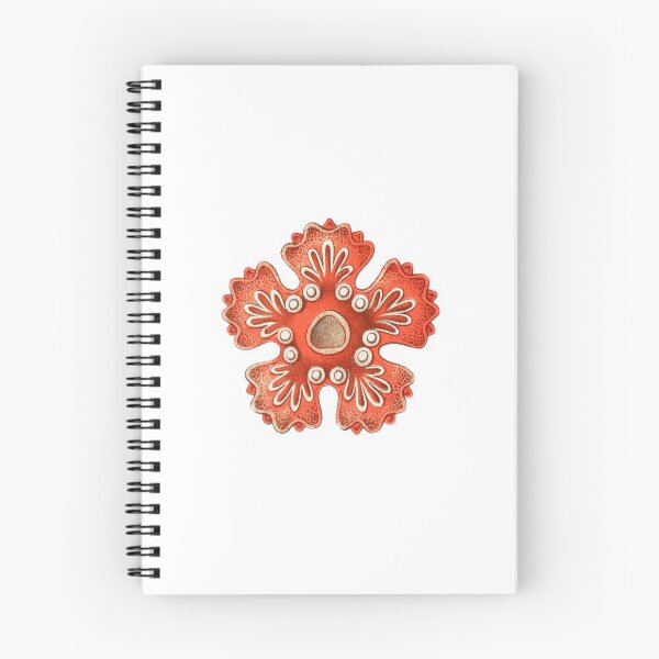 Item preview, Vintage Starfish designed and sold by Quilar.