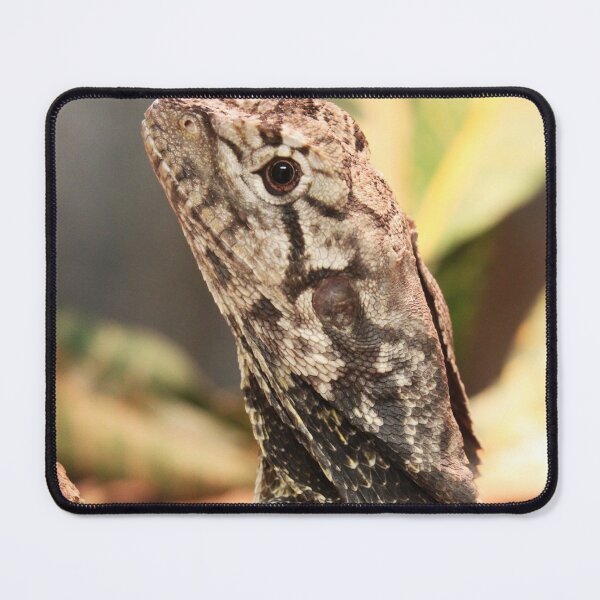 Item preview, Frilled lizard designed and sold by rootedrender.