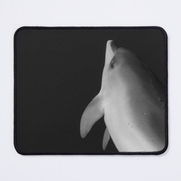 Item preview, Baby dolphin black and white designed and sold by Chloé Yzoard.