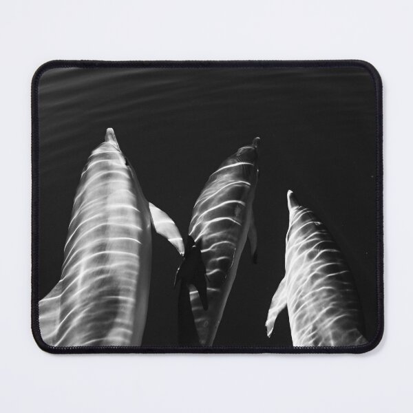 Item preview, Zebra dolphins designed and sold by Chloé Yzoard.