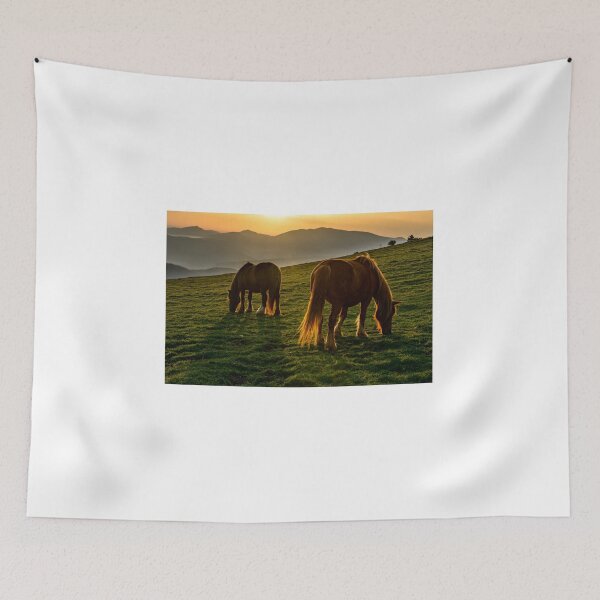 Item preview, A nice spot to graze, sunrise over Monte Subasio, Umbria, Italy designed and sold by AndrewJonesFoto.