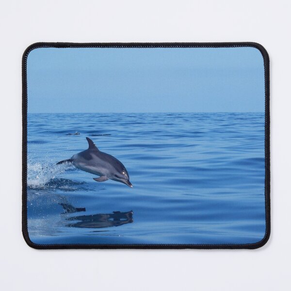 Item preview, Spotted dolphin jumping in the Atlantic ocean designed and sold by Chloé Yzoard.