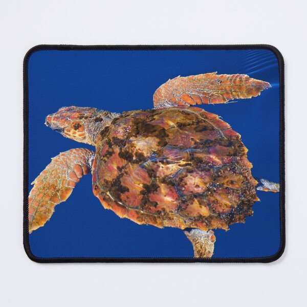 Item preview, Loggerhead turtle in the ocean designed and sold by Chloé Yzoard.
