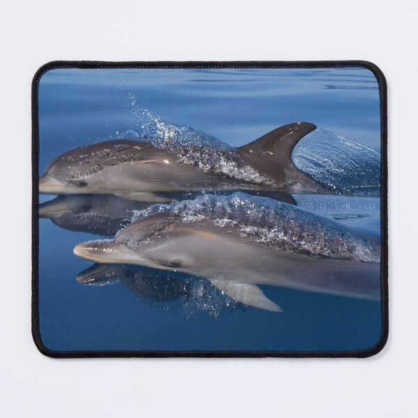 Item preview, Beautiful and peaceful dolphins designed and sold by Chloé Yzoard.