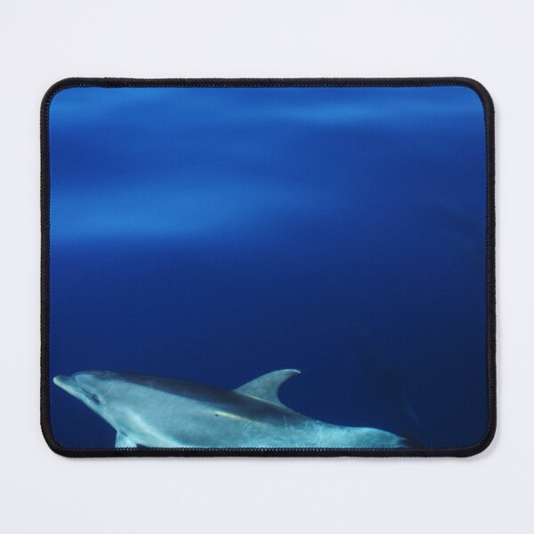 Item preview, Dolphin and blues designed and sold by Chloé Yzoard.