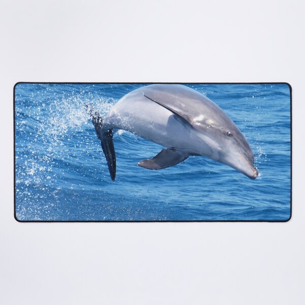 Joyful Bottlenose dolphin Desk Mat