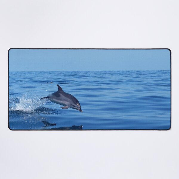 Item preview, Spotted dolphin jumping in the Atlantic ocean designed and sold by Chloé Yzoard.