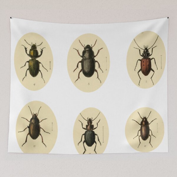 Item preview, Victorian Beetle Vintage Beetle Portrait designed and sold by ledalinda.