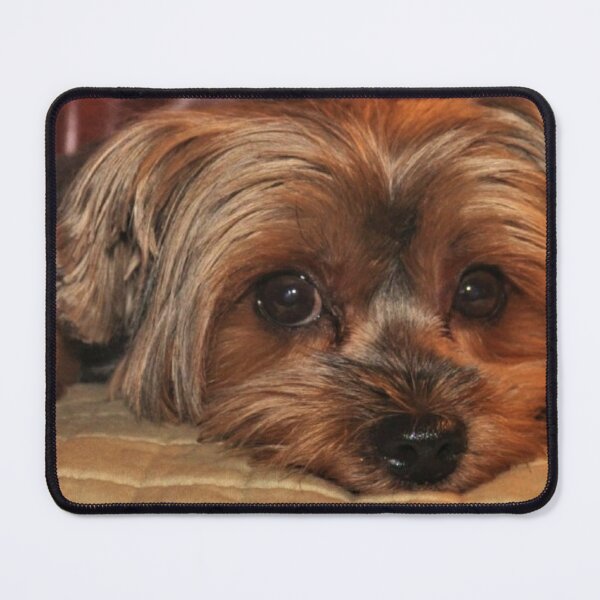 Item preview, Cute Yorkshire Terrier Yorkie Puppy Dog designed and sold by adriana-holmes.
