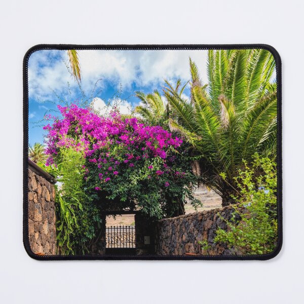 Item preview, Cesar Manrique Garden designed and sold by iCimages.net.