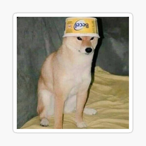 "Butter dog" Sticker for Sale by FrederikPisar Redbubble