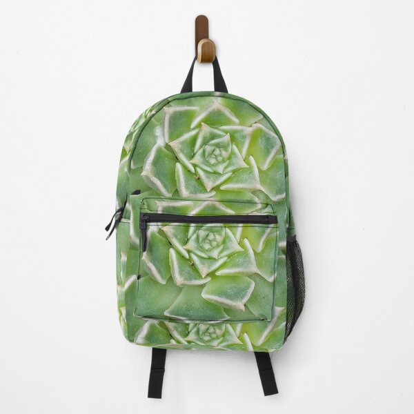 Item preview, Echeveria Succulent Plant designed and sold by DesignMore21.
