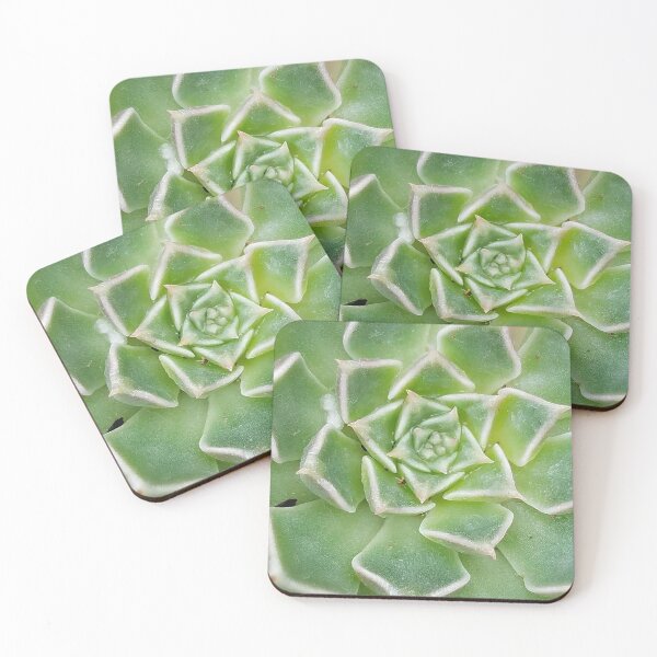 Item preview, Echeveria Succulent Plant designed and sold by DesignMore21.
