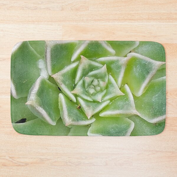 Item preview, Echeveria Succulent Plant designed and sold by DesignMore21.