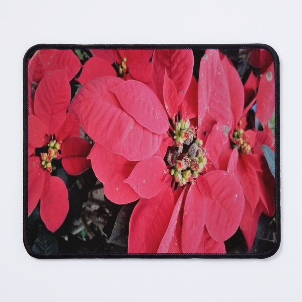 Item preview, RED CHRISTMAS POINSETTIA FLOWER designed and sold by Coolklaset.