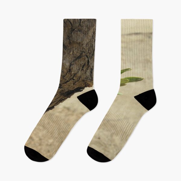 Item preview, One black olive on an olive branch designed and sold by Anna Lemos.