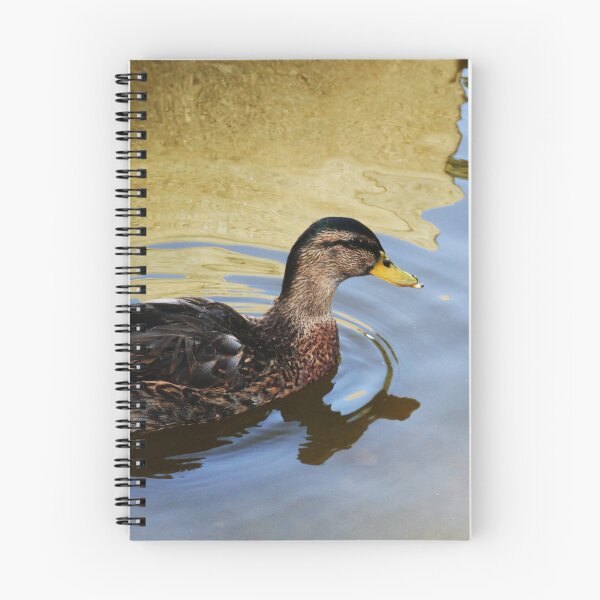 Item preview, Duck swimming in a golden lake designed and sold by Anna Lemos.