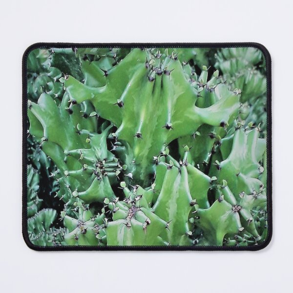Item preview, CACTUS PLANT DESIGN designed and sold by Coolklaset.