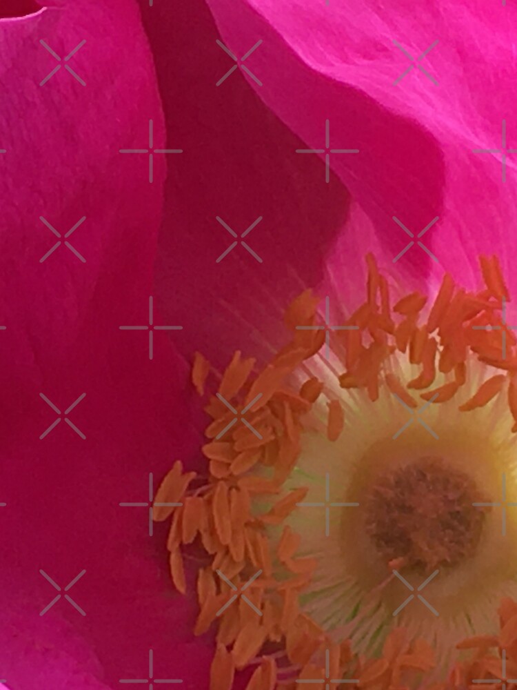 Thumbnail 3 of 3, Scarf, Rose designed and sold by Ric1926.