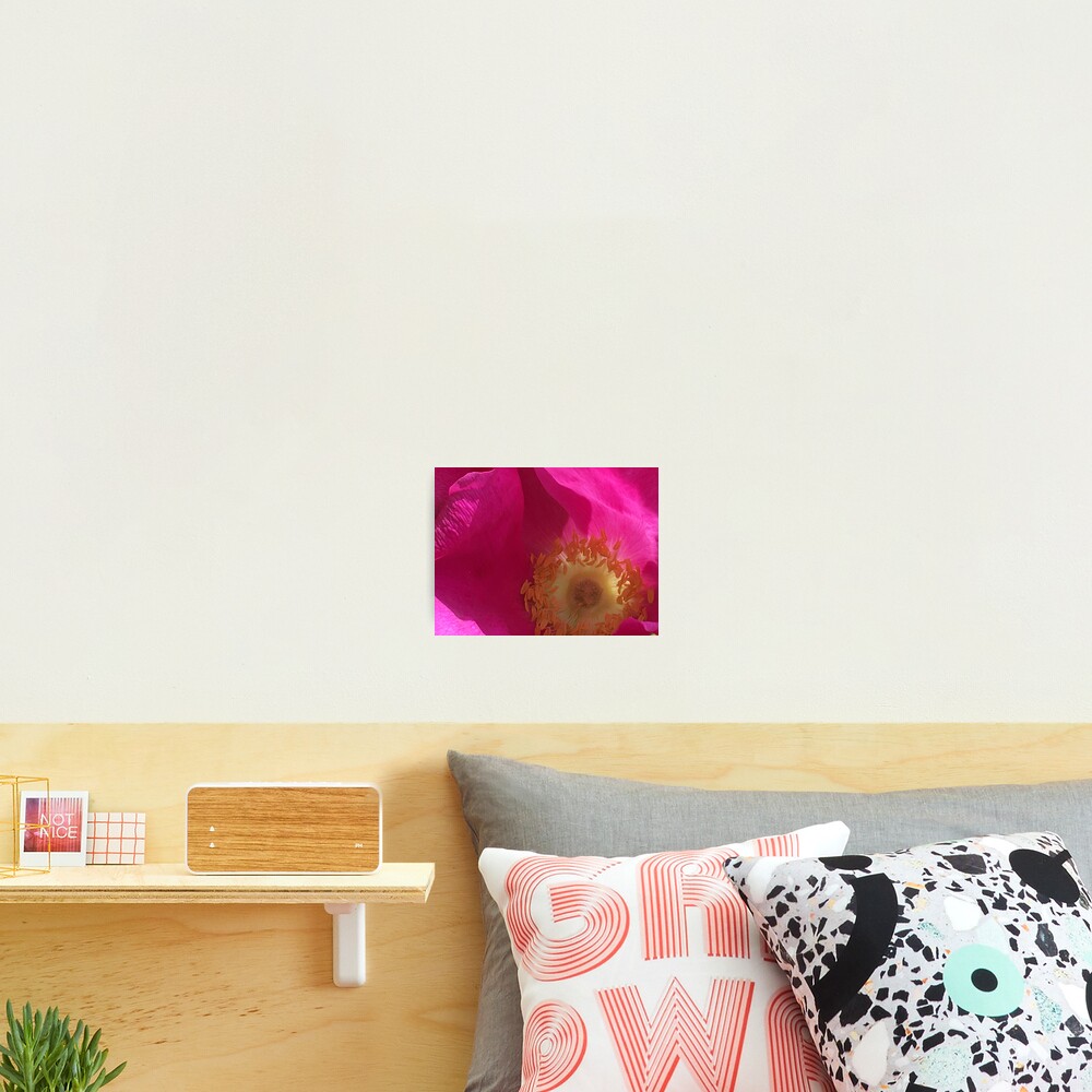 Item preview, Photographic Print designed and sold by Ric1926.