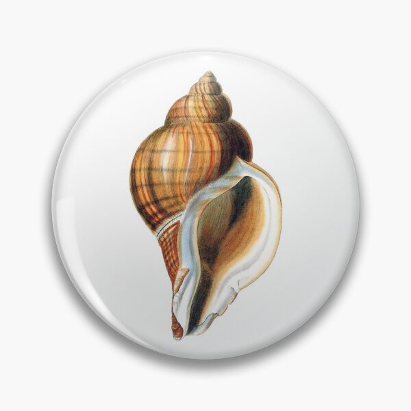 Item preview, George Brettingham Sowerby: Murex Snails designed and sold by antaltamas89.