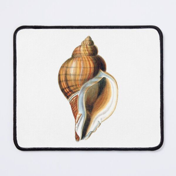 Item preview, George Brettingham Sowerby: Murex Snails designed and sold by antaltamas89.