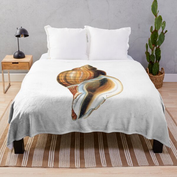 Item preview, George Brettingham Sowerby: Murex Snails designed and sold by antaltamas89.