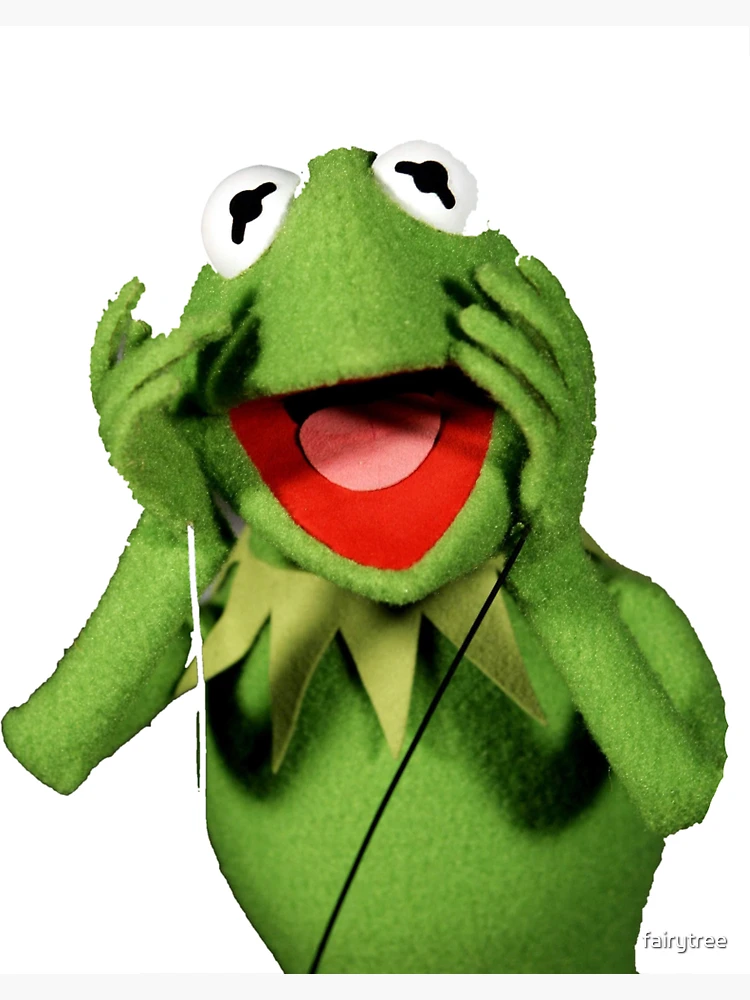 Kermit the frog surprised meme | Magnet