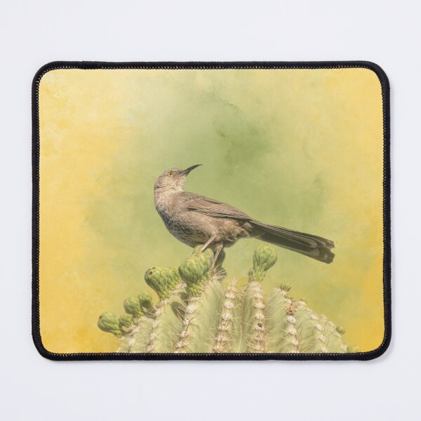 Item preview, King of My Saguaro designed and sold by Elisabeth Lucas.