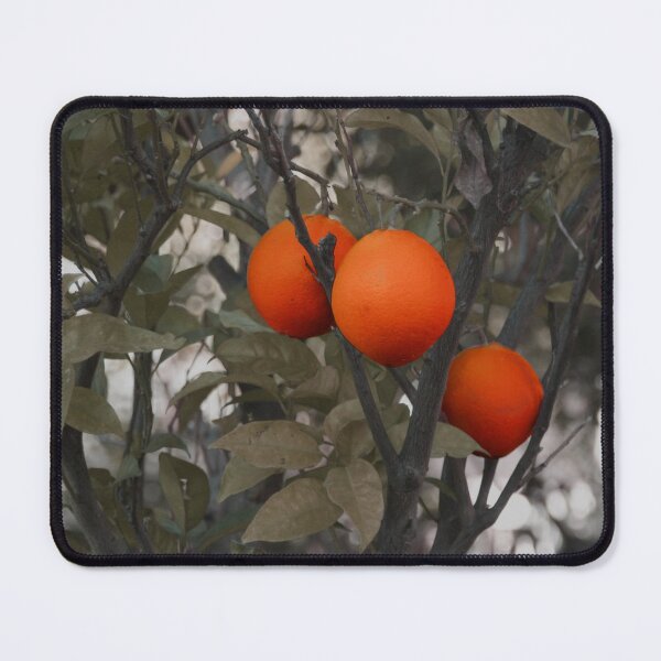 Item preview, Orange tree with three oranges designed and sold by Anna Lemos.