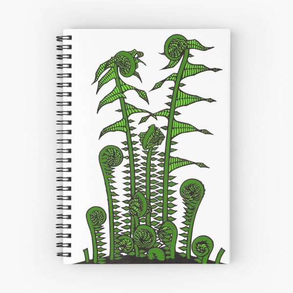 Item preview, Fern, Fiddle head fern woodcut Vintage illustration colorized designed and sold by blackdogshop.