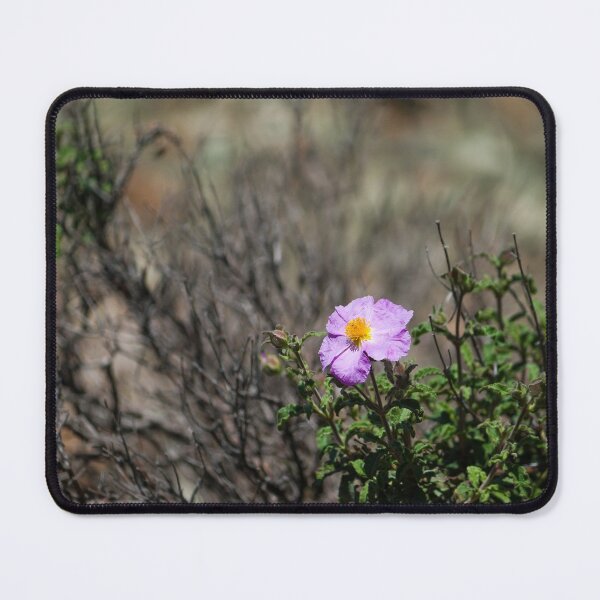 Item preview, Cistus Creticus - Pink Rock Rose designed and sold by Vienewi.