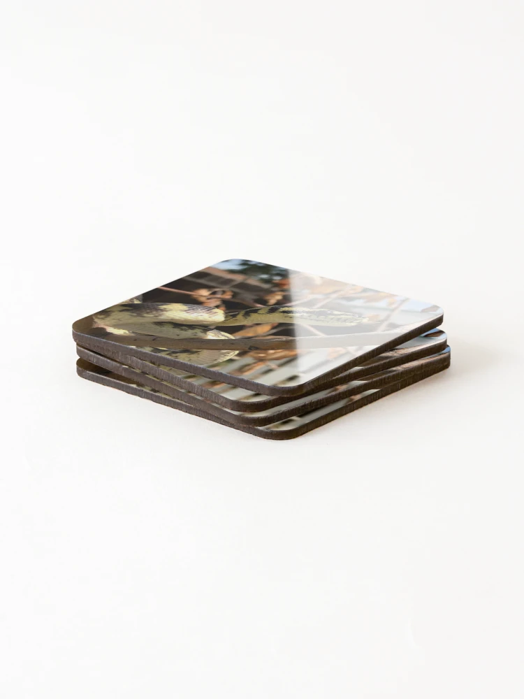 Thumbnail 4 of 5, Coasters (Set of 4), Morelia Harrisoni Carpet Python designed and sold by Patrickneeds.