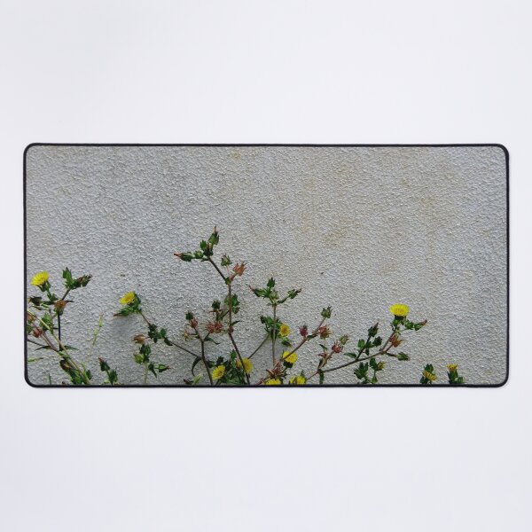 Item preview, Yellow daisies wild flowers white wall designed and sold by Anna Lemos.
