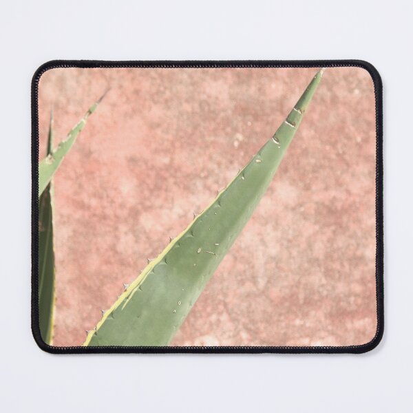Item preview, Weathered pink wall and cactus designed and sold by Anna Lemos.