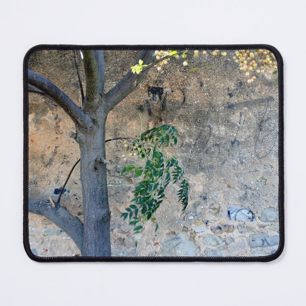 Item preview, Tree branches, painted gunge wall background designed and sold by Anna Lemos.