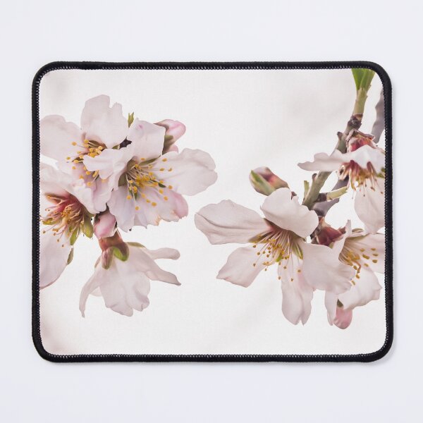 Item preview, Almond Tree in Blossom - Close Up to Flowers designed and sold by Vienewi.