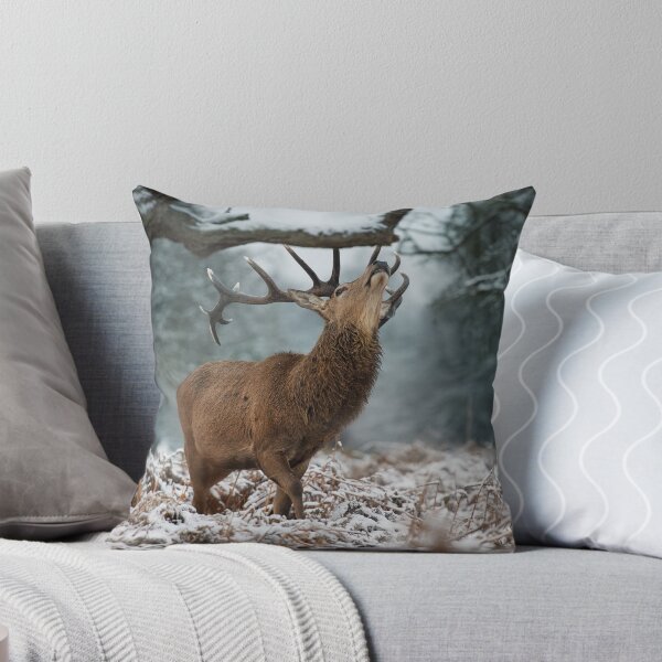 Item preview, Red Deer Stag Explores the snow designed and sold by Junkyardmax.