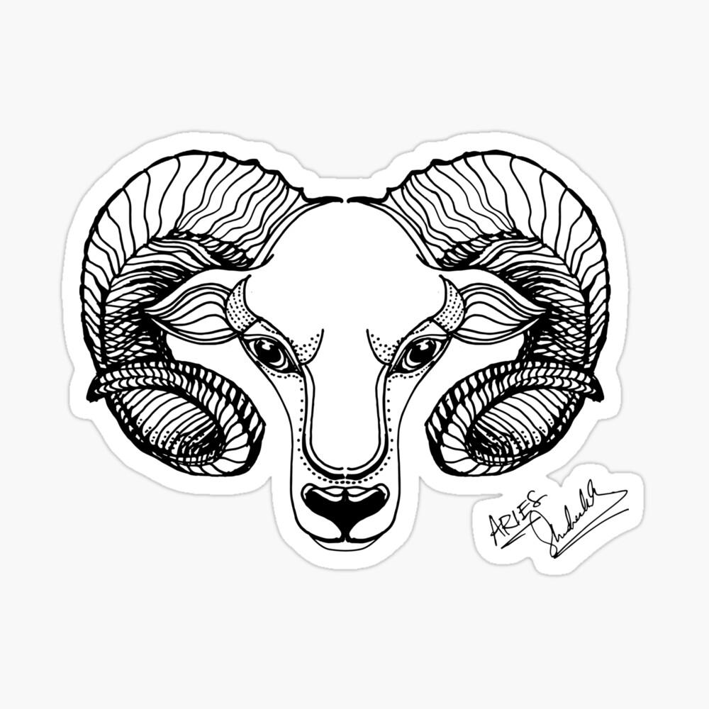 Ram, Line Drawing in Black and White (Part of my Zodiac Series)" Poster for Sale by KShedenhelm | Redbubble