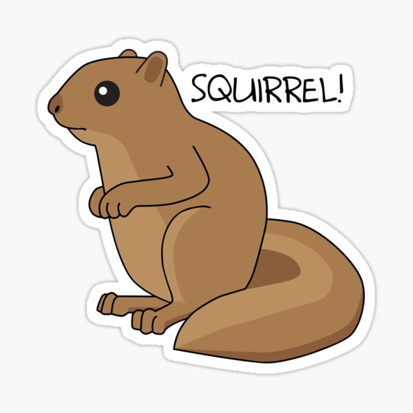 Squirrel Is Squirrel Sticker