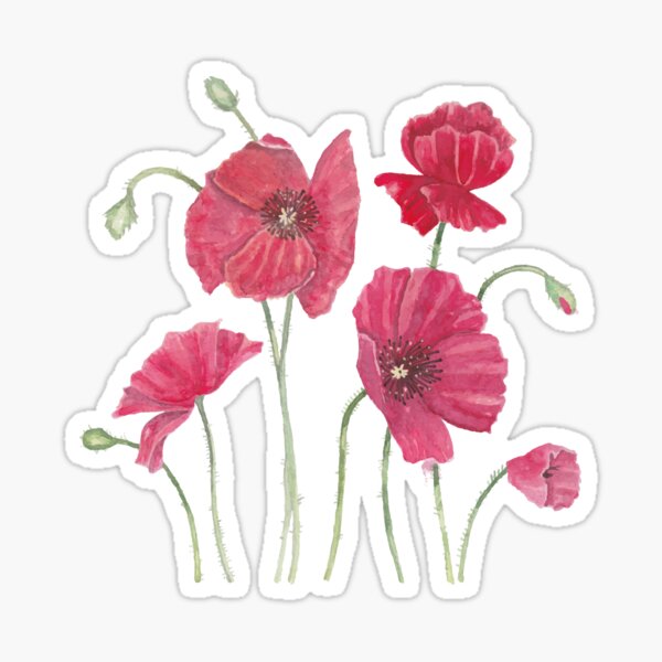 Dancing Poppies Painting Sticker