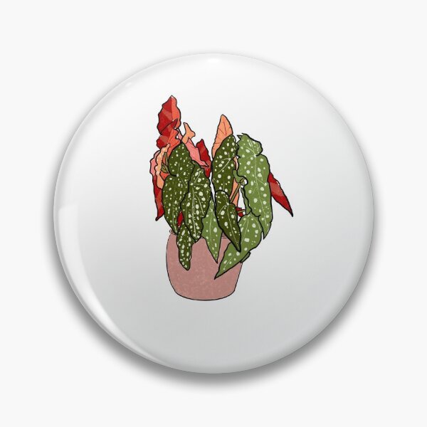 Item preview, Begonia Maculata designed and sold by KOmalleyhere.