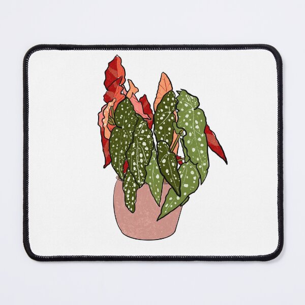 Item preview, Begonia Maculata designed and sold by KOmalleyhere.