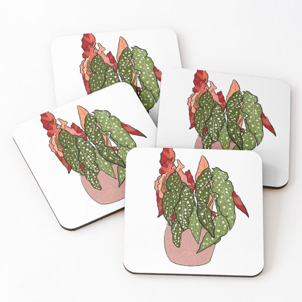 Item preview, Begonia Maculata designed and sold by KOmalleyhere.