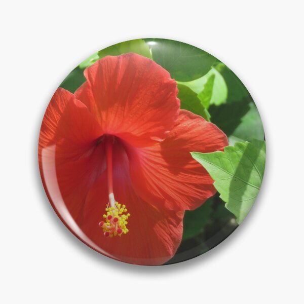 Item preview, Hibiscus designed and sold by TammieE.