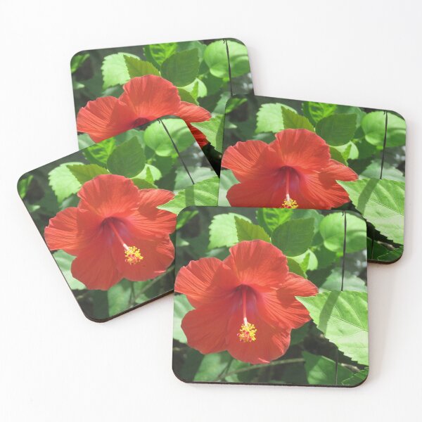 Item preview, Hibiscus designed and sold by TammieE.