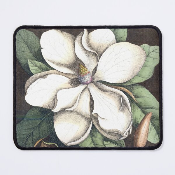 Item preview, Magnolia Print designed and sold by Lloyd Library & Museum.