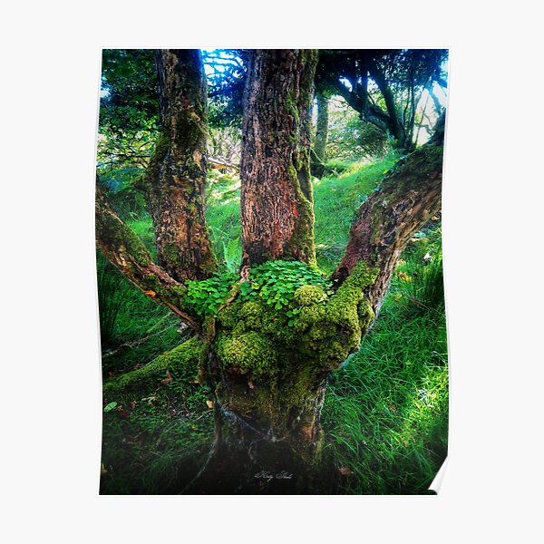 Ireland's hand Poster