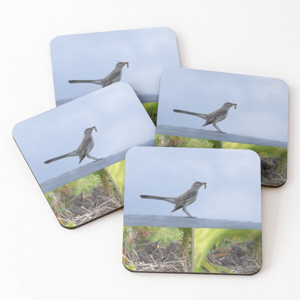 Item preview, Mockingbird with food for its babies collage designed and sold by Zina Stromberg.